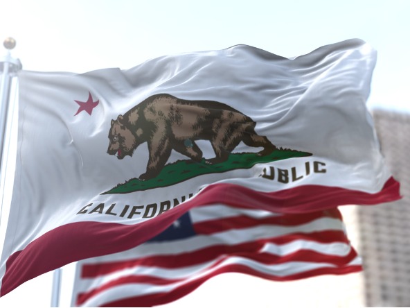 California's flag